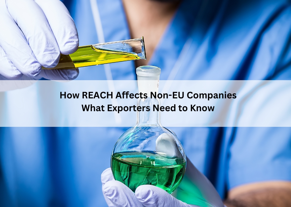 How REACH Affects Non-EU Companies: What Exporters Need to Know